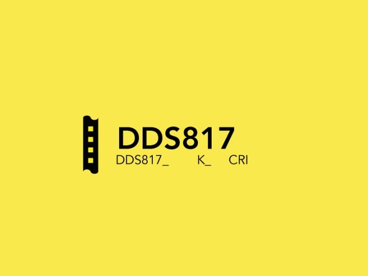 DDS817