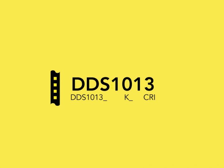 DDS1013